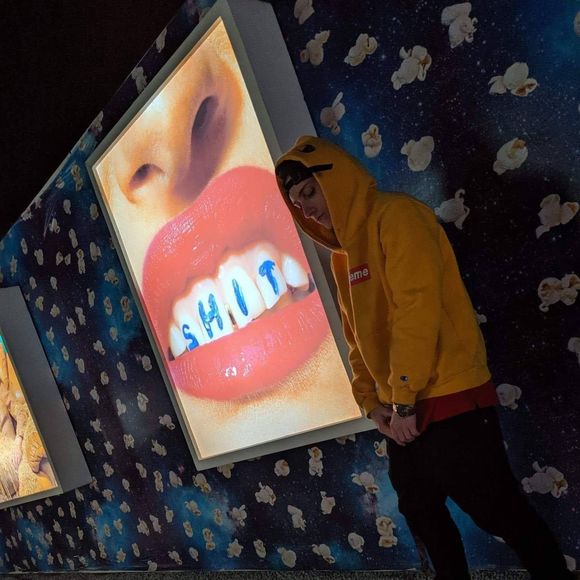 Meet your Posher, Audrey - Picture 1 of 1